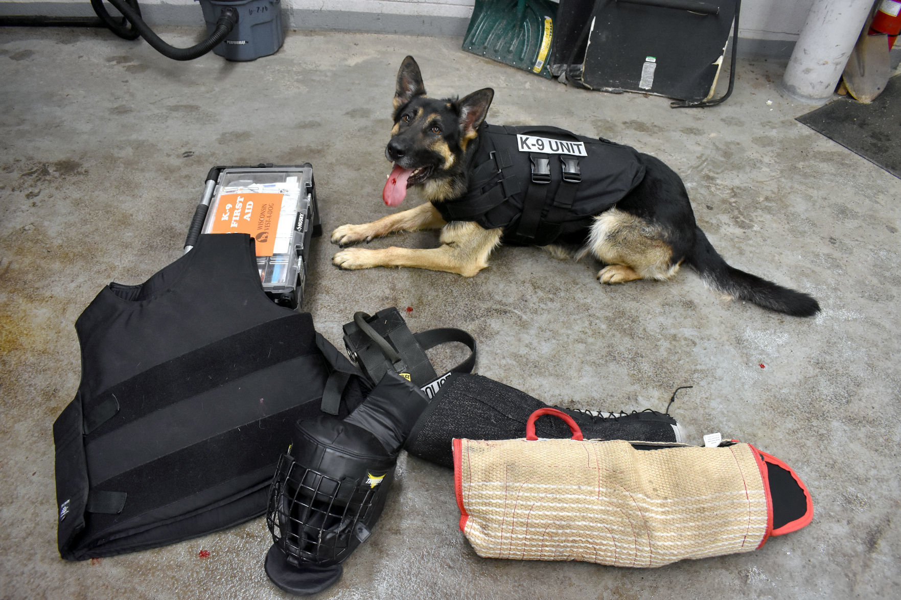 031519-port-news-police-dogs-graphic4
